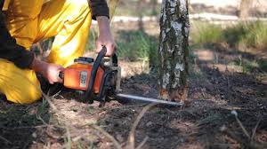 Best Lawn Drainage Solutions  in Sto Brook University, NY