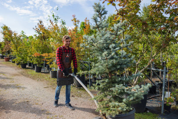 Best Hazardous Tree Removal  in Sto Brook University, NY